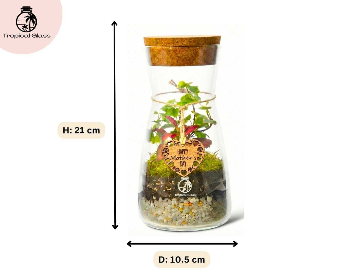 A clear glass terrarium bottle with a cork lid showcases a vibrant arrangement of green plants, moss, and gravel. A decorative tag reads Happy Mothers Day, emphasizing the kits celebratory theme.