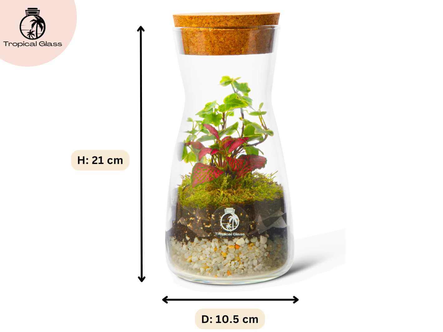 Duo terrarium kit contents including glass bottles, plants, moss, soil and decorative pebbles