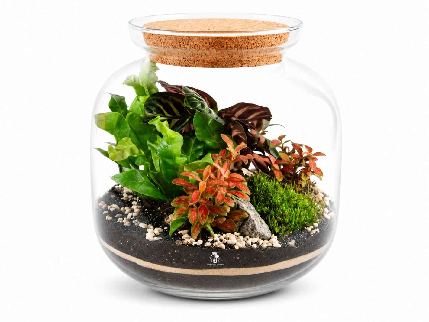 A beautifully arranged DIY terrarium featuring lush green plants, including red and green foliage, set in a hand-blown glass container with a cork lid.