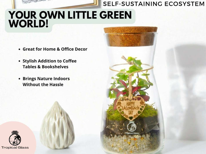 Pack of 2 DIY terrarium kits styled as home or office decor with wooden Valentine’s gift tag