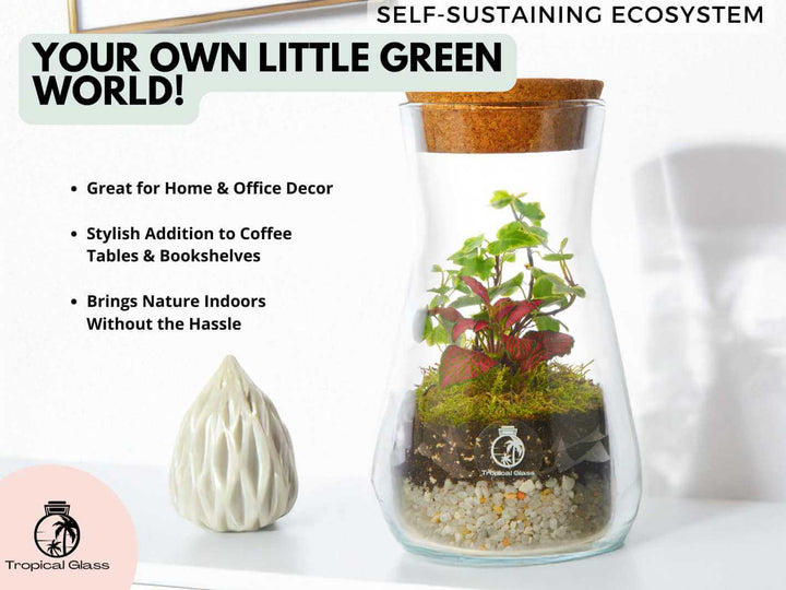 Finished bottle terrariums displayed as decorative pieces in a home interior