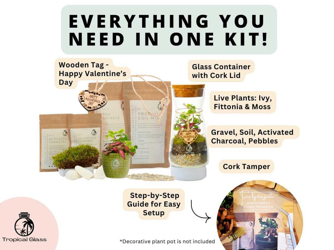 DIY terrarium kit substrate mix prepared for closed terrariums