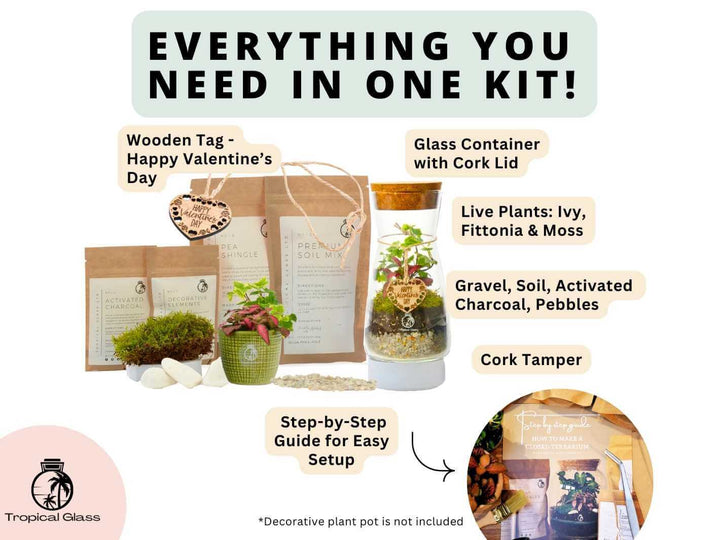 DIY terrarium kit substrate mix prepared for closed terrariums