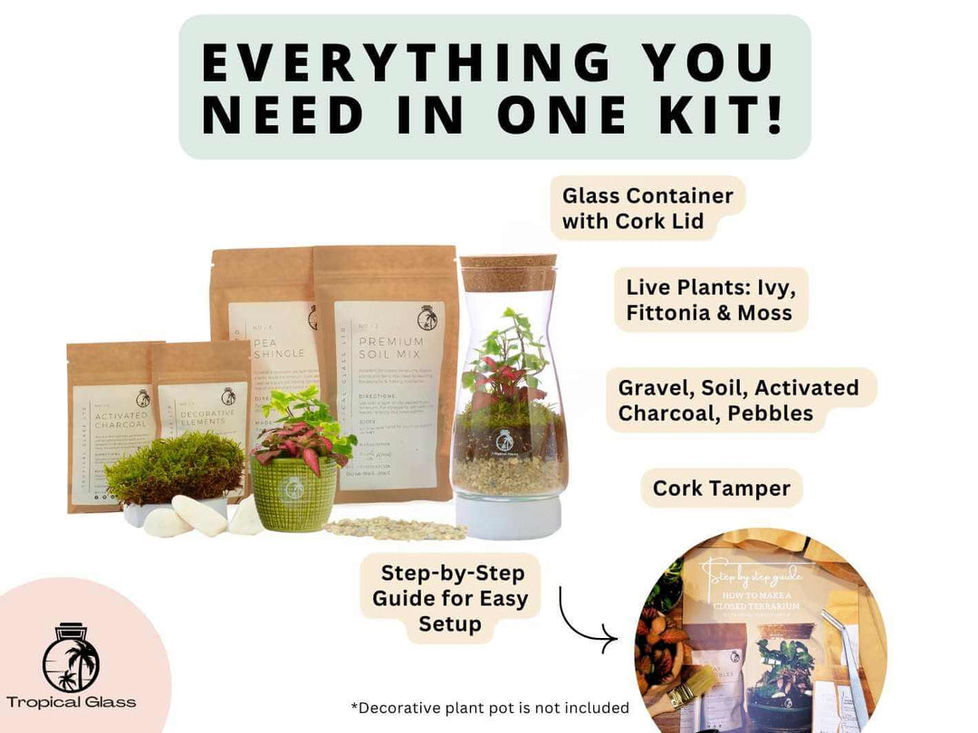 Bottle terrarium size 21 cm height with cork lid included