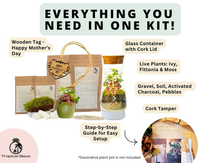 Mother’s Day Edition DIY Terrarium Kit H: 21 cm | 2 x 'Porto'