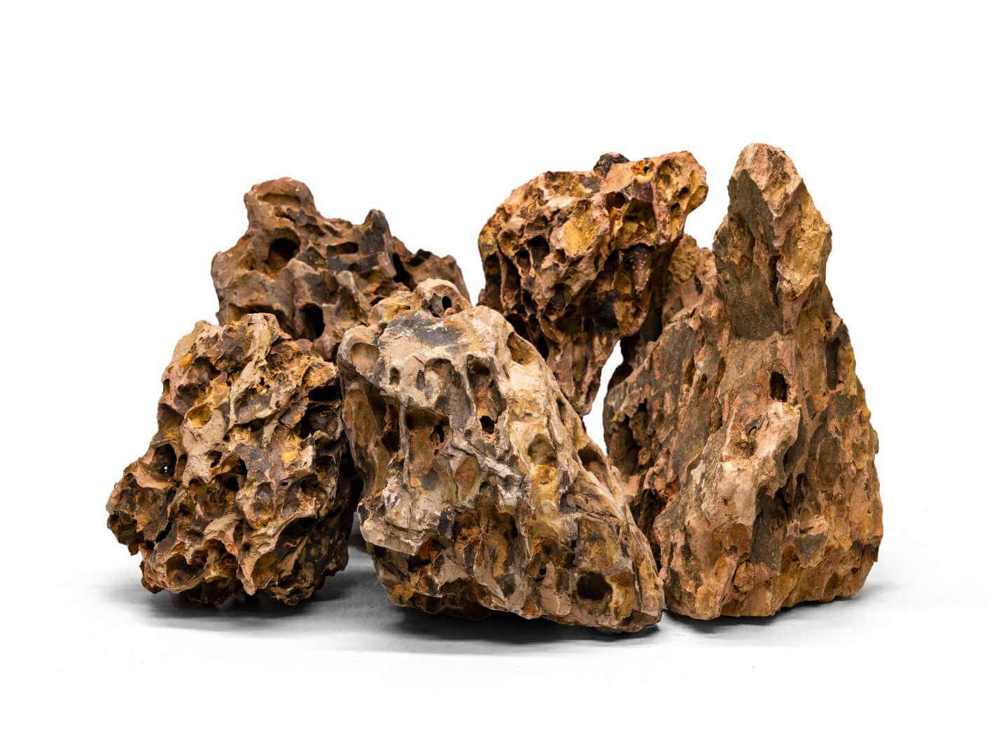 A collection of Dragon Stone pieces displayed against a white background, showcasing their unique, rugged textures and natural crevices.