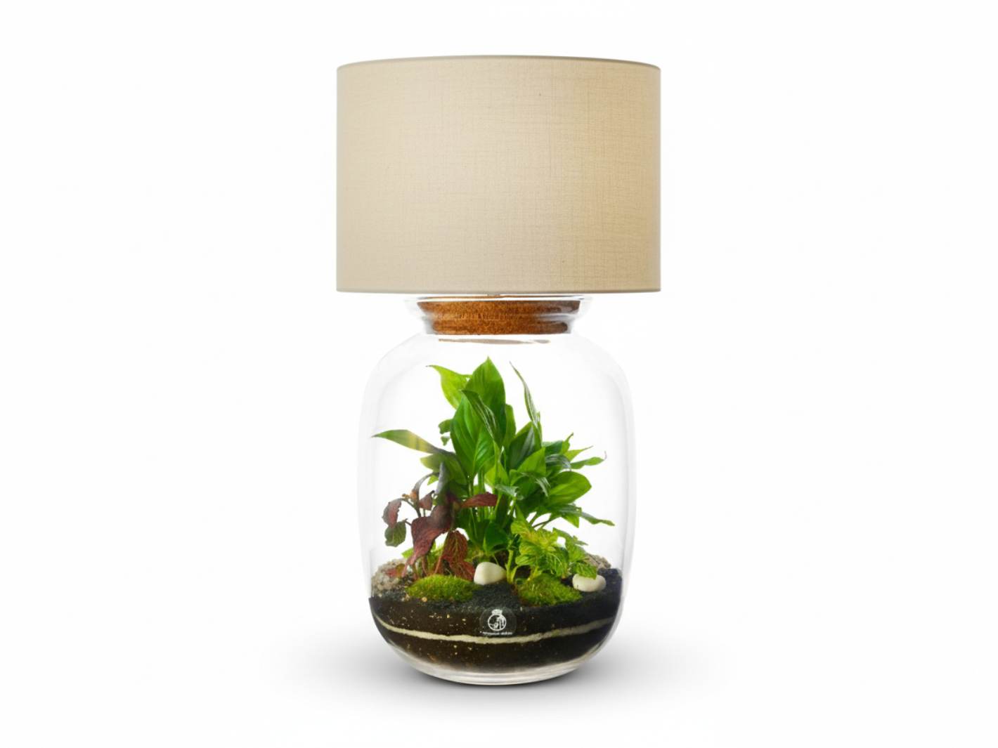 Table lamp with a glass terrarium containing plants on a white background