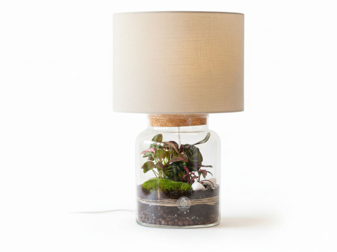 Table lamp with a terrarium design on a white background