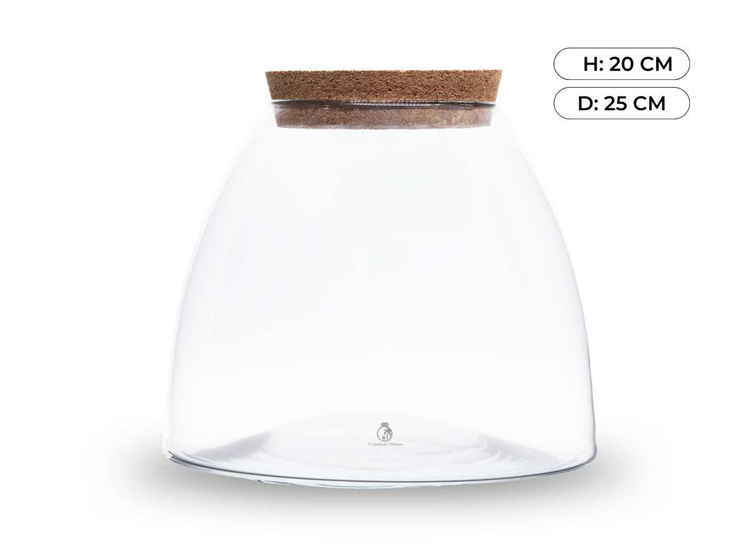 Glass container for closed terrarium, 20 cm height, 25 cm diameter