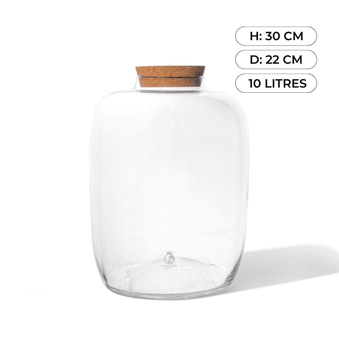 Closed terrarium glass container with cork lid | H: 30 cm