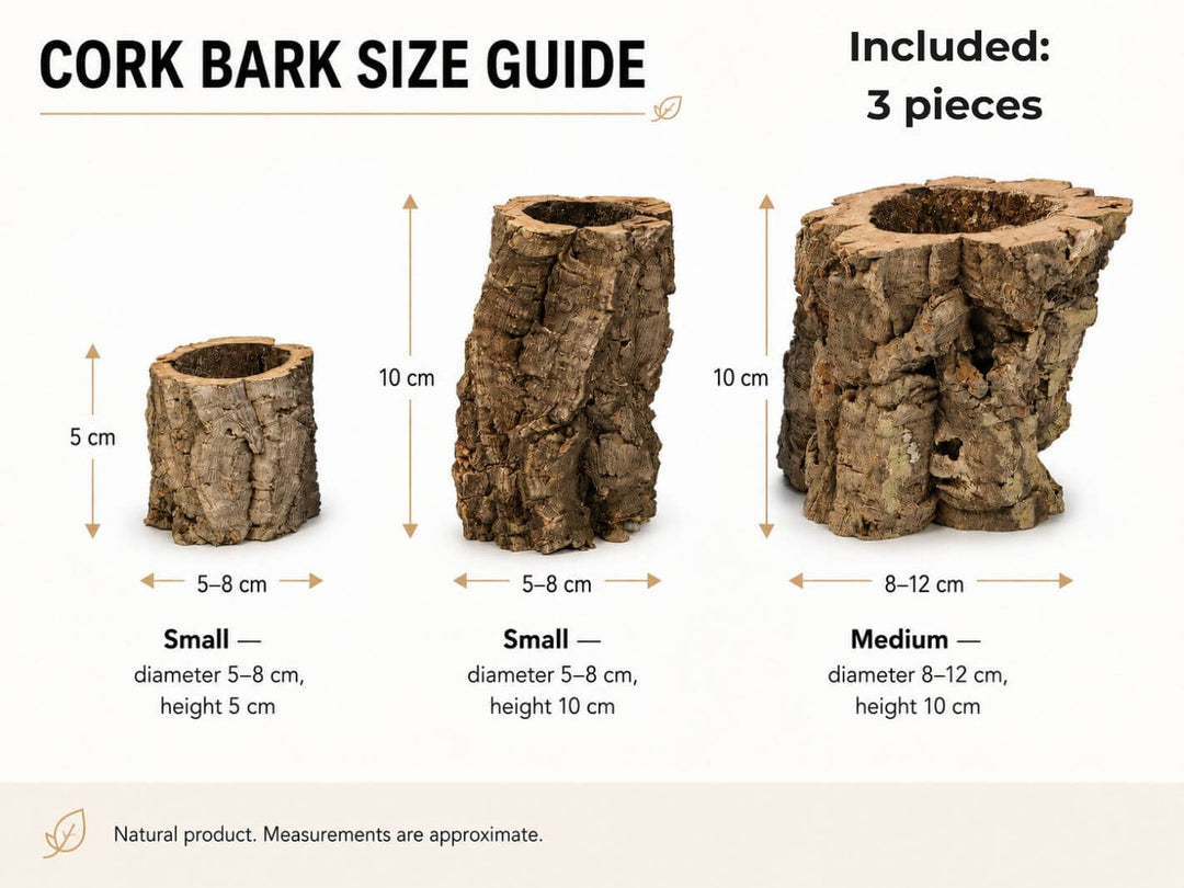 Cork bark size guide showing three natural cork bark pieces labeled Small and Medium with approximate dimensions in centimeters on a white background.
