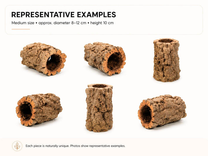 Six bark log pet rocks in different orientations on a white background, with text reading &
