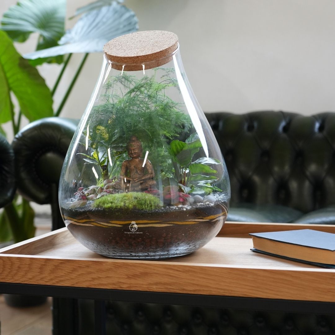 extra large plant terrarium uk Closed Terrarium Kit 'Mumbai' H:43cm