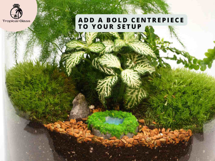Small pond ornament for closed terrariums, open terrariums and miniature displays