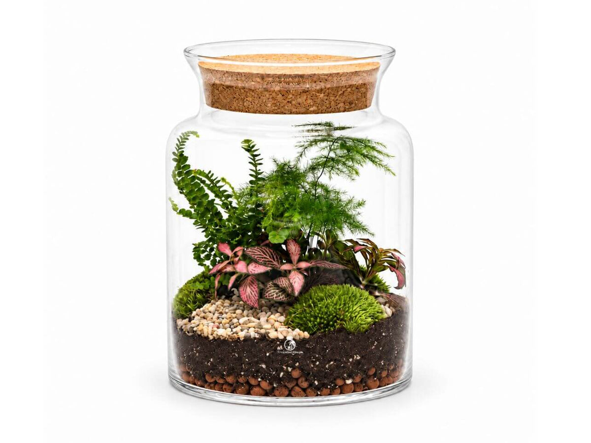 A clear glass jar terrarium with a cork stopper, filled with soil, small stones, green moss, ferns, and red spider plants, shown on a plain white background.