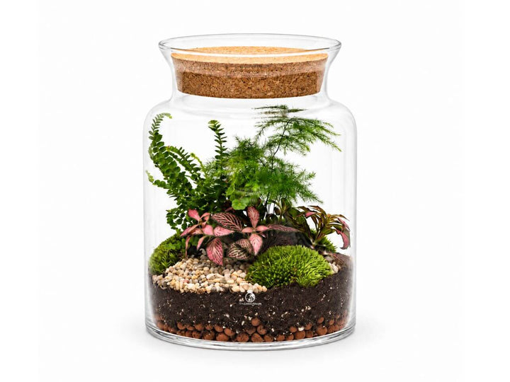 A clear glass jar terrarium with a cork stopper, filled with soil, small stones, green moss, ferns, and red spider plants, shown on a plain white background.