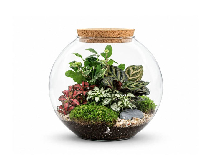 Ready-made Round Terrarium H: 23 cm | &