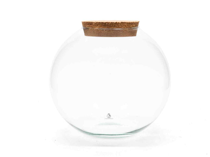 Glass Container with Defects