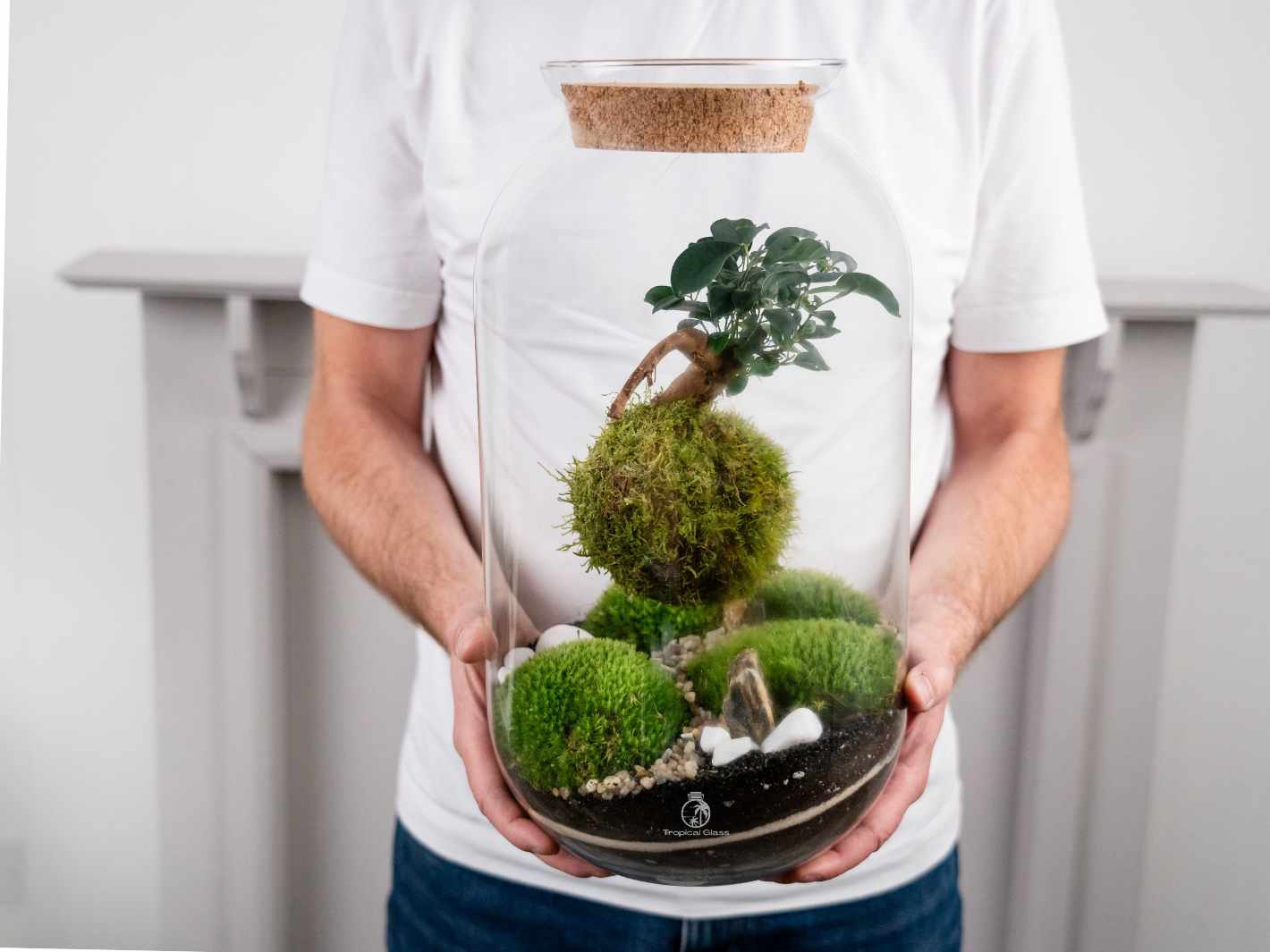 DIY Terrarium Kit with Hanging Kokedama