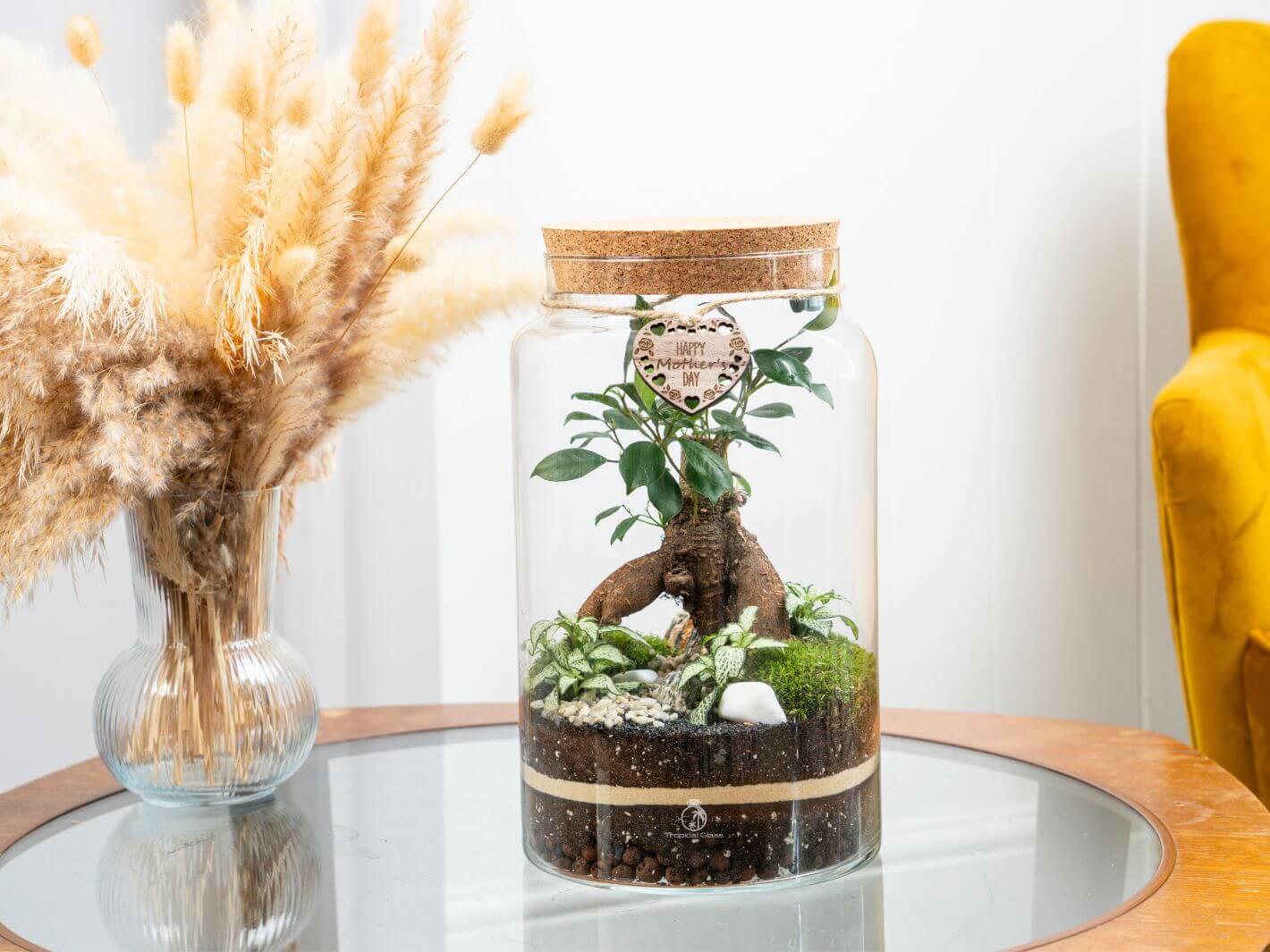 Elegant Mother’s Day terrarium featuring a bonsai and lush plants. A meaningful and stylish garden gift for Mum.