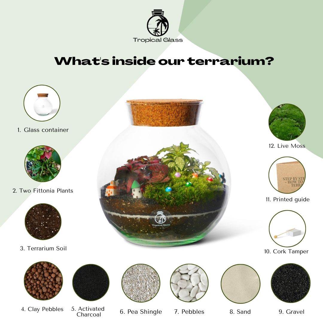 Closed Terrarium Kit 'Oxford' H:18cm | LED Option UK – Tropical Glass