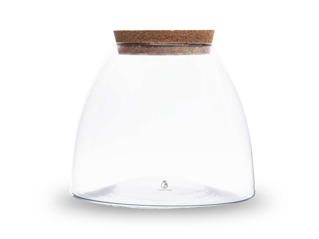 Empty glass container with cork lid for terrariums