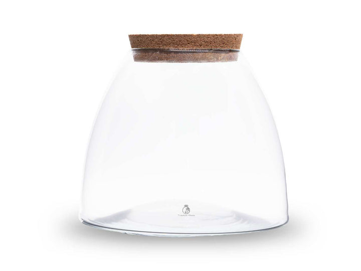 Empty glass container with cork lid for terrariums