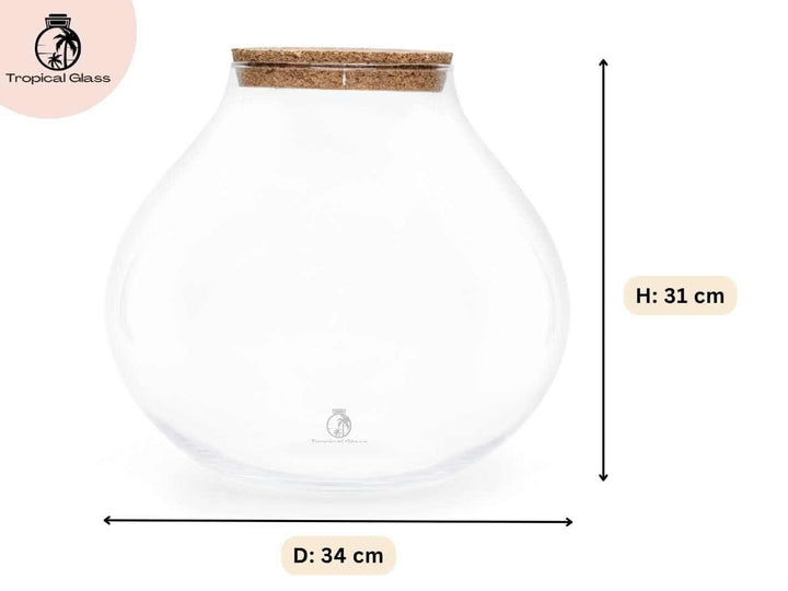 Glass terrarium jar dimensions height 31 cm diameter 34 cm