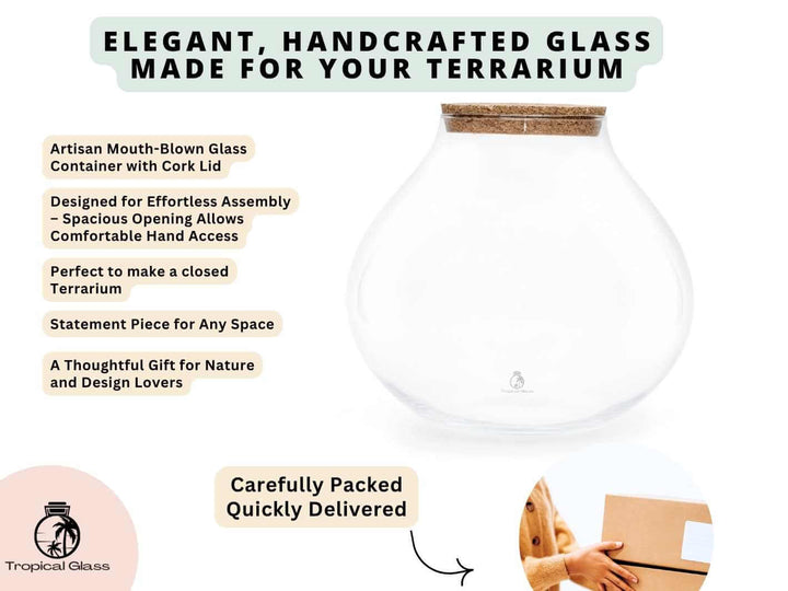 Large glass terrarium jar with wide opening and cork lid features