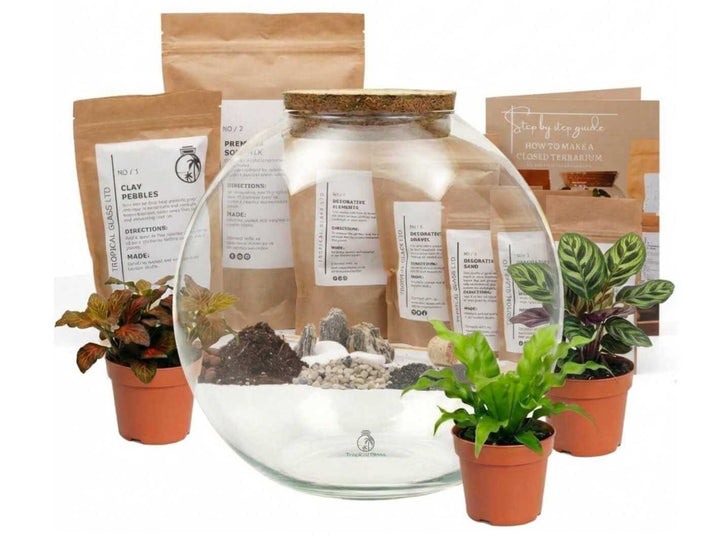 Round Glass Terrarium Container with Cork Lid | H: 23 cm