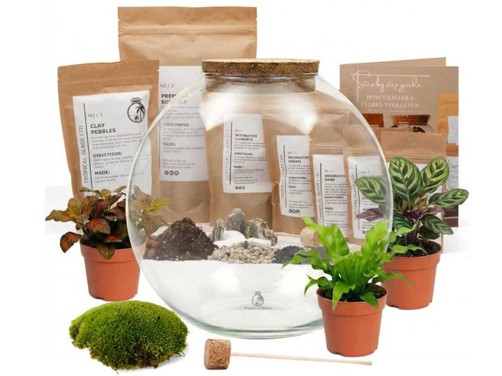 Round Glass Terrarium Container with Cork Lid | H: 23 cm