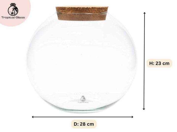 Glass terrarium container showing size of 23 cm height and 28 cm diameter