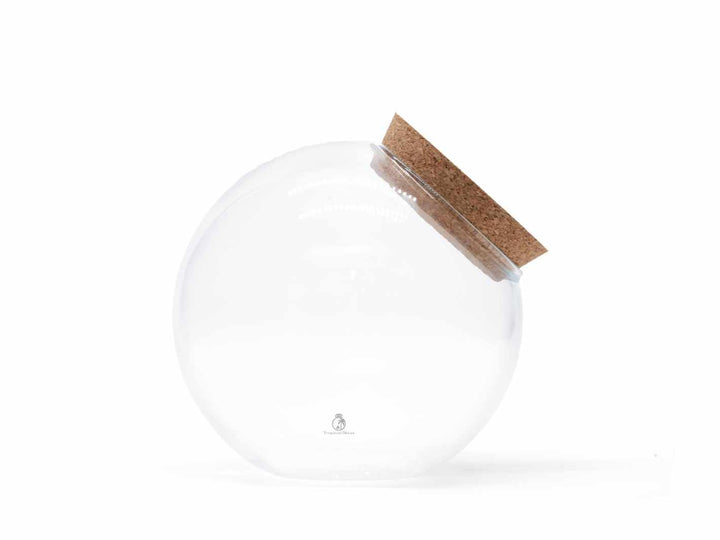 Side-Opening Glass Terrarium with Cork Lid | H: 19 cm