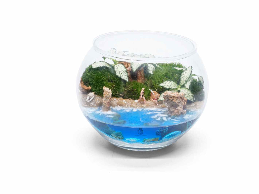 Seaside terrarium globe with water feature and plant