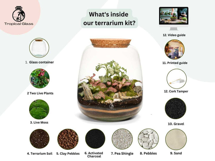 Hand blown recycled glass bulb jar for closed terrarium with natural cork lid