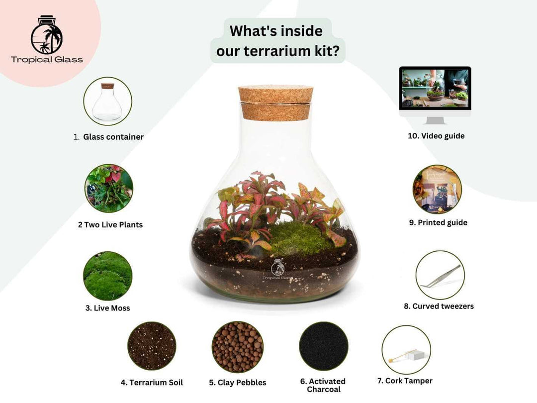 Hand blown recycled glass mini conical jar with natural cork lid for closed terrarium