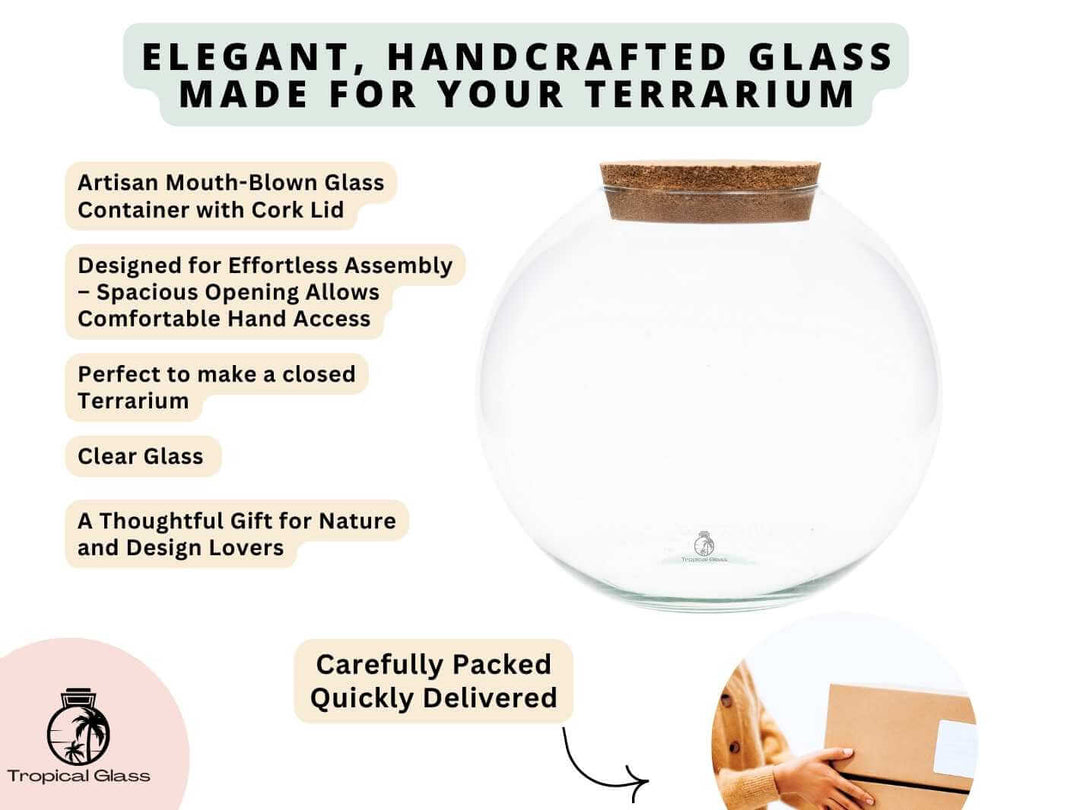 Handcrafted round glass terrarium container with natural cork lid