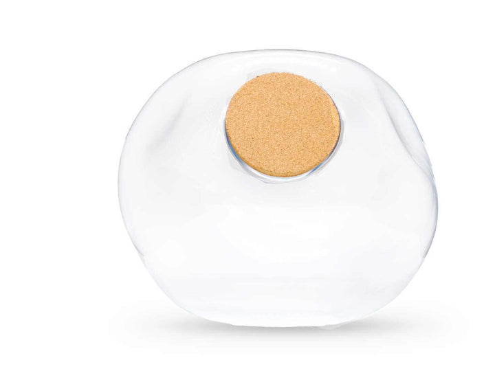 Blob Sphere jar for closed terrarium ecosystem.