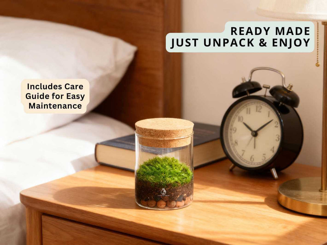 Mini mossarium with natural moss inside a clear mouth blown glass jar, creating a calming green display.