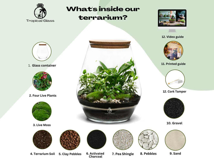 Complete eco-friendly terrarium gift set displayed on a wooden table