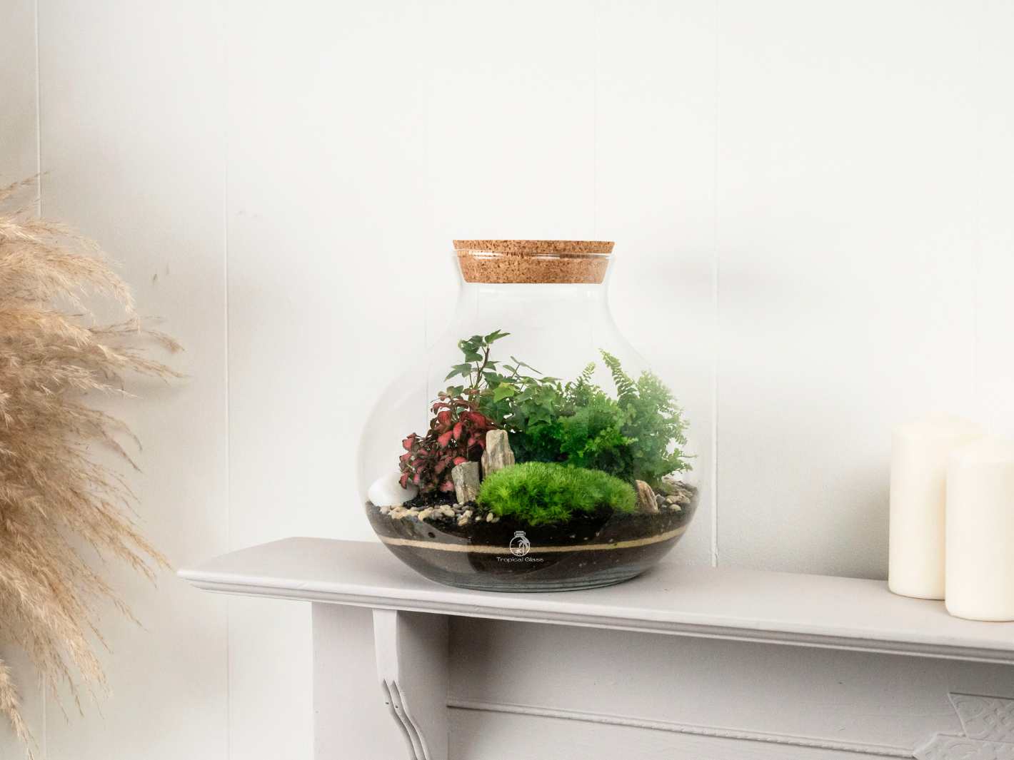 A closed terrarium sits on a light-colored shelf, showcasing lush green plants, including moss and ferns, arranged on layers of soil and decorative stones. The glass container features a cork lid, enhancing its natural aesthetic.