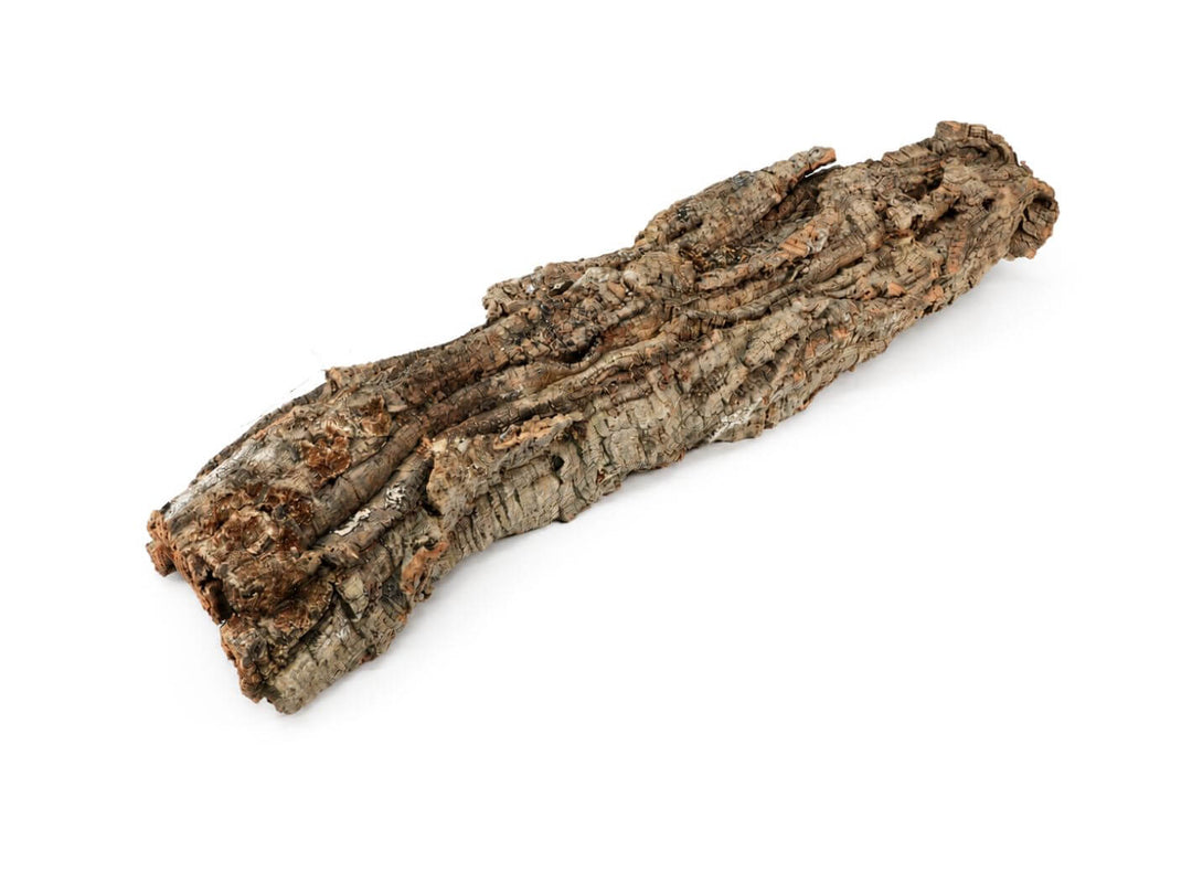 Selection of deeply textured Portuguese cork bark pieces with naturally unique shapes
