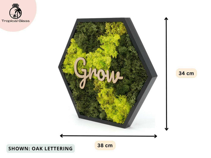 Personalised Hexagon Moss Wall Art 38 x 34 cm