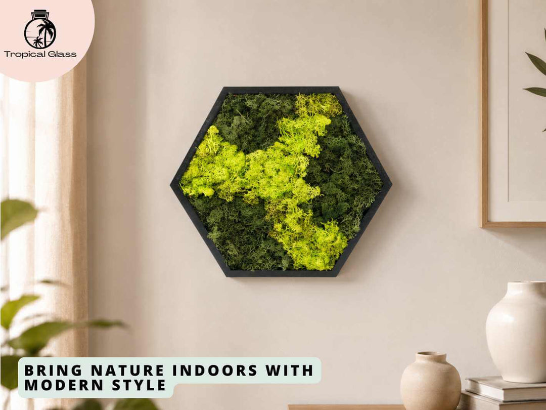 Hexagon preserved moss wall art displayed on a home wall, adding natural texture and modern botanical decor