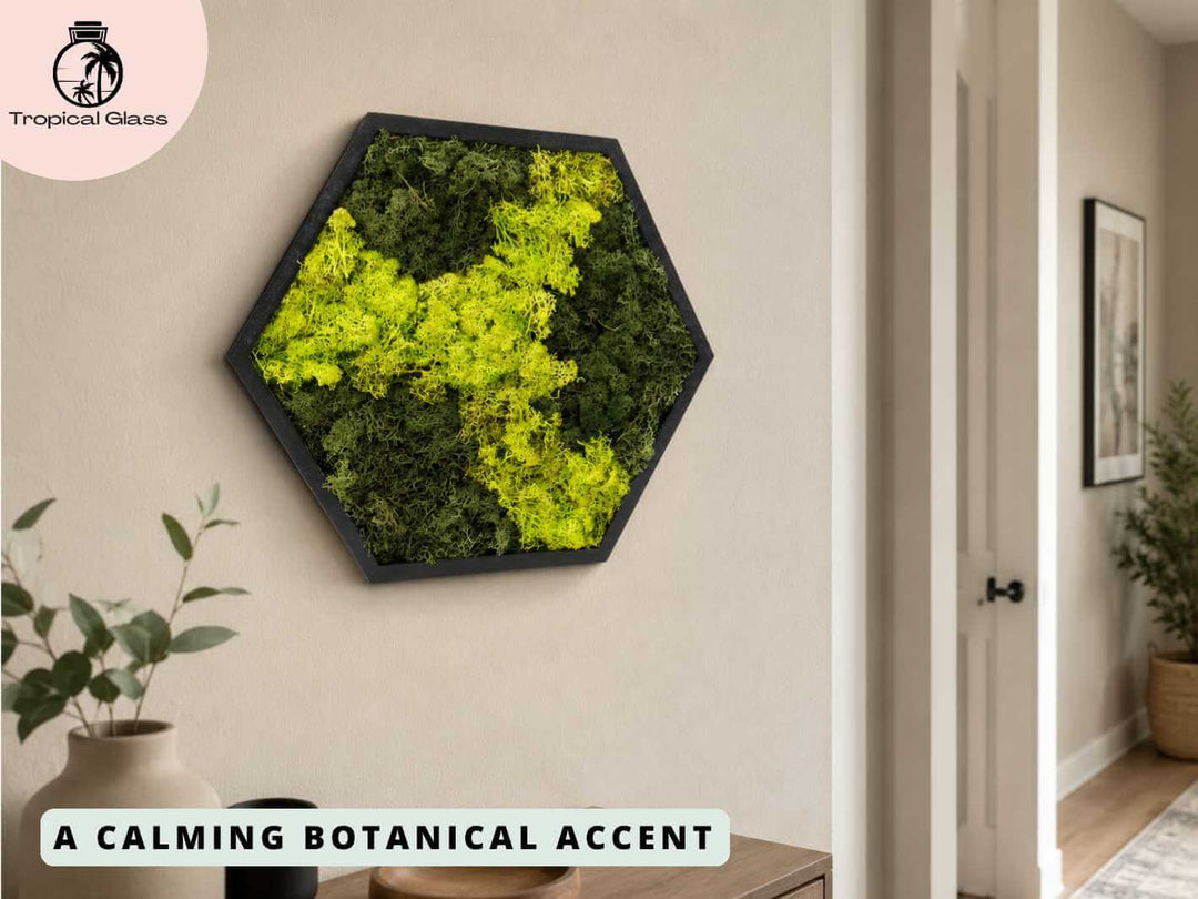 Hexagon moss wall art hanging on an interior wall, creating a modern botanical feature with preserved reindeer moss