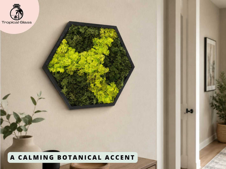 Hexagon moss wall art hanging on an interior wall, creating a modern botanical feature with preserved reindeer moss