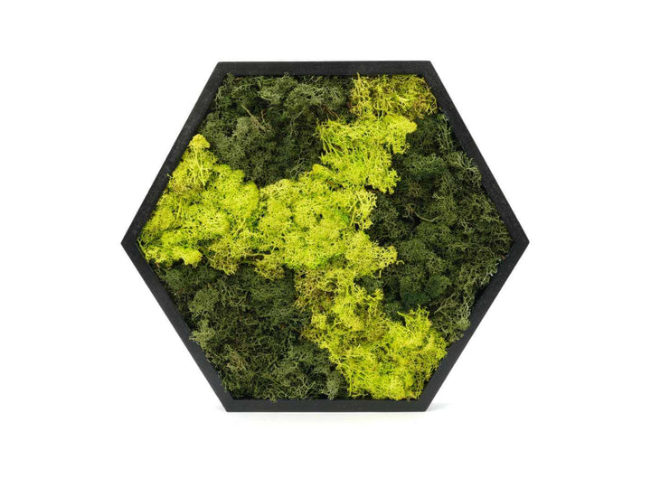 Hexagon preserved moss wall art frame, 38 x 34 cm, handmade with preserved reindeer moss in layered green tones