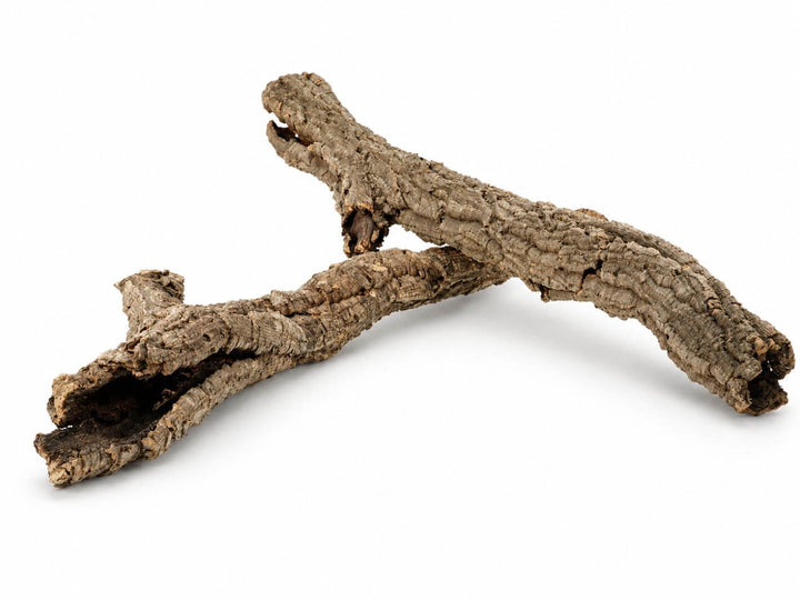 Natural Cork Bark Tube – Medium, 8–12 cm Diameter