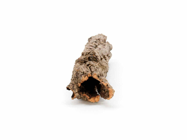 Hollow natural cork bark tube for vivarium and terrarium hides