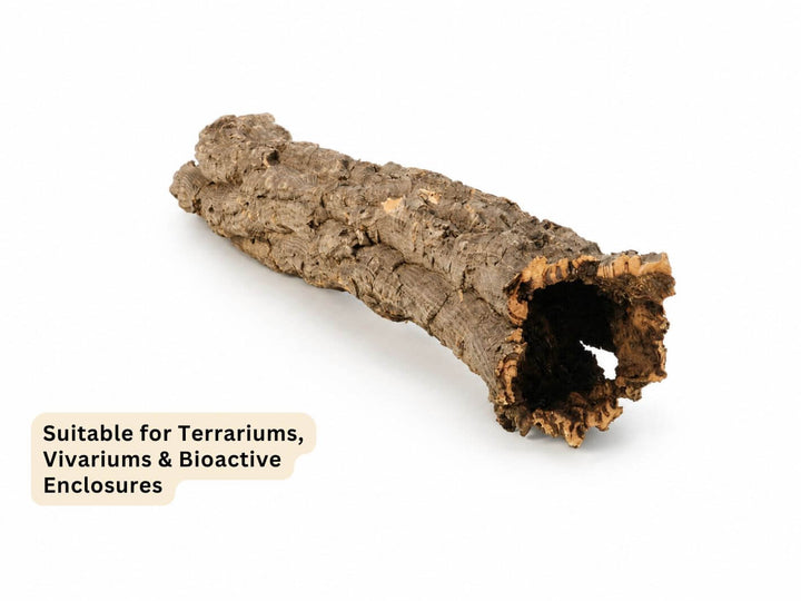 A natural cork bark tube with a hollow center, shown on a white background with a text overlay that reads &